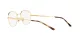 Ray-Ban RX 3682V 2500