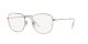Ray-Ban Frank RX 3857V 3094