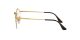 Ray-Ban Round Gaze RX 3947V 2500