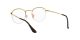 Ray-Ban Round Gaze RX 3947V 2500