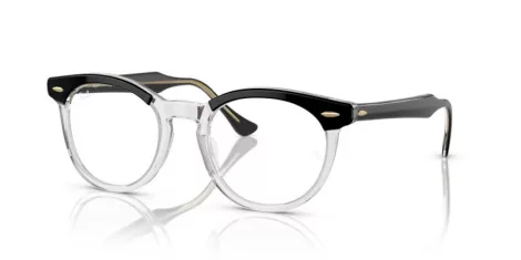 Ray-Ban Eagleeye RX 0RX5598 2034