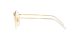 Ray-Ban Rob RX 6472 2500