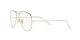 Ray-Ban Aviator RX 6489 2890 Ray-Ban Aviator RX 6489 2890