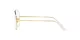 Ray-Ban Aviator RX 6489 2890 Ray-Ban Aviator RX 6489 2890