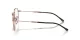 Ray-Ban RX 0RX6496 3094