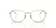 Ray-Ban RX 0RX6497 2500