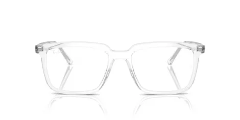 Ray-Ban Alain RX 7239 2001 Ray-Ban Alain RX 7239 2001