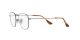 Ray-Ban Frank RX 8157V 1223