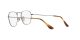 Ray-Ban Frank RX 8157V 1223