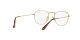 Ray-Ban Frank RX 8157V 1226