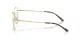 Ray-Ban RX 8778D 1251