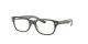 Ray-Ban RY 1555 3946