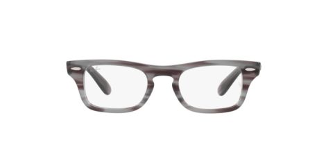 Ray-Ban Burbank Jr RY 9083V 3850