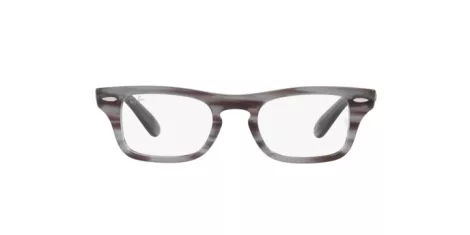 Ray-Ban Burbank Jr RY 9083V 3850