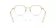 Swarovski SK 1004 4004 Swarovski SK 1004 4004