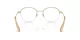 Swarovski SK 1004 4013 Swarovski SK 1004 4013