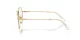 Swarovski SK 1011 4004 Swarovski SK 1011 4004