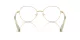 Swarovski SK 1013 4017 Swarovski SK 1013 4017