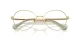 Swarovski SK 1013 4017 Swarovski SK 1013 4017