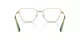 Swarovski SK 1018 4017 Swarovski SK 1018 4017