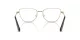 Swarovski SK 1018 4028 Swarovski SK 1018 4028