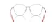 Swarovski SK 1019 4001 Swarovski SK 1019 4001