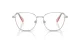 Swarovski SK 1019 4001 Swarovski SK 1019 4001