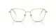 Swarovski SK 1019 4004 Swarovski SK 1019 4004