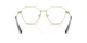 Swarovski SK 1019 4021 Swarovski SK 1019 4021