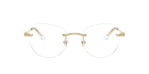 Swarovski SK 1021 4004