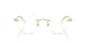 Swarovski SK 1021 4004 Swarovski SK 1021 4004