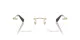 Swarovski SK 1021 4013 Swarovski SK 1021 4013