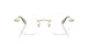 Swarovski SK 1021 4017 Swarovski SK 1021 4017