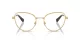 Swarovski SK 1022 4004 Swarovski SK 1022 4004