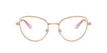 Swarovski SK 1022 4014