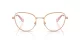 Swarovski SK 1022 4014 Swarovski SK 1022 4014