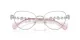 Swarovski SK 1024 401M Swarovski SK 1024 401M