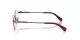 Swarovski SK 1028TD 4040 Swarovski SK 1028TD 4040