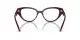 Swarovski SK 2024 1044 Swarovski SK 2024 1044