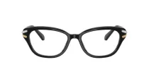 Swarovski SK 2032 1001