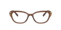 Swarovski SK 2032 1067