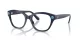 Swarovski SK 2038 1004 Swarovski SK 2038 1004