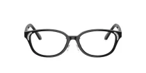 Swarovski SK 2040D 1001