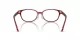 Swarovski SK 2040D 1055 Swarovski SK 2040D 1055