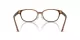 Swarovski SK 2040D 1067 Swarovski SK 2040D 1067