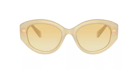 Swarovski SK 6005 10232Q