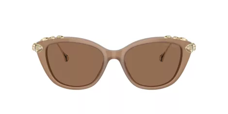 Swarovski SK 6010 2002OK