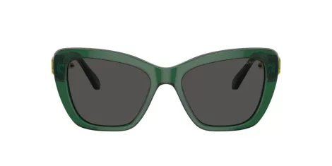 Swarovski SK 6018 104587