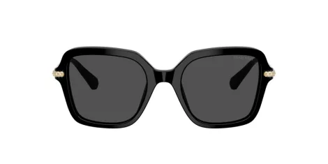 Swarovski SK 6040 100187