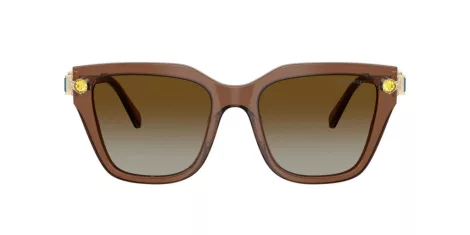 Swarovski SK 6041 1067T5